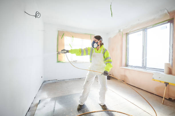 Best Crawl Space Mold Remediation  in Flat Rock, MI