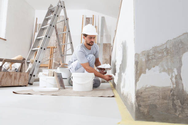 Best Mold-Related Health Consultation  in Flat Rock, MI