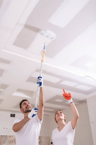Flat Rock, MI Mold Removal Company