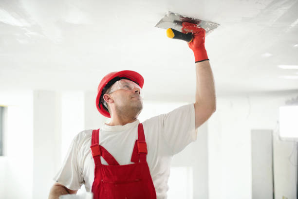 Best Dehumidification Services  in Flat Rock, MI