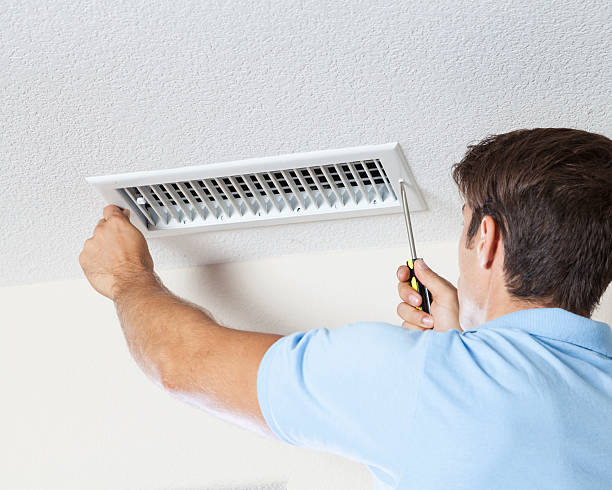Best Mold Remediation for Healthcare Facilities  in Flat Rock, MI